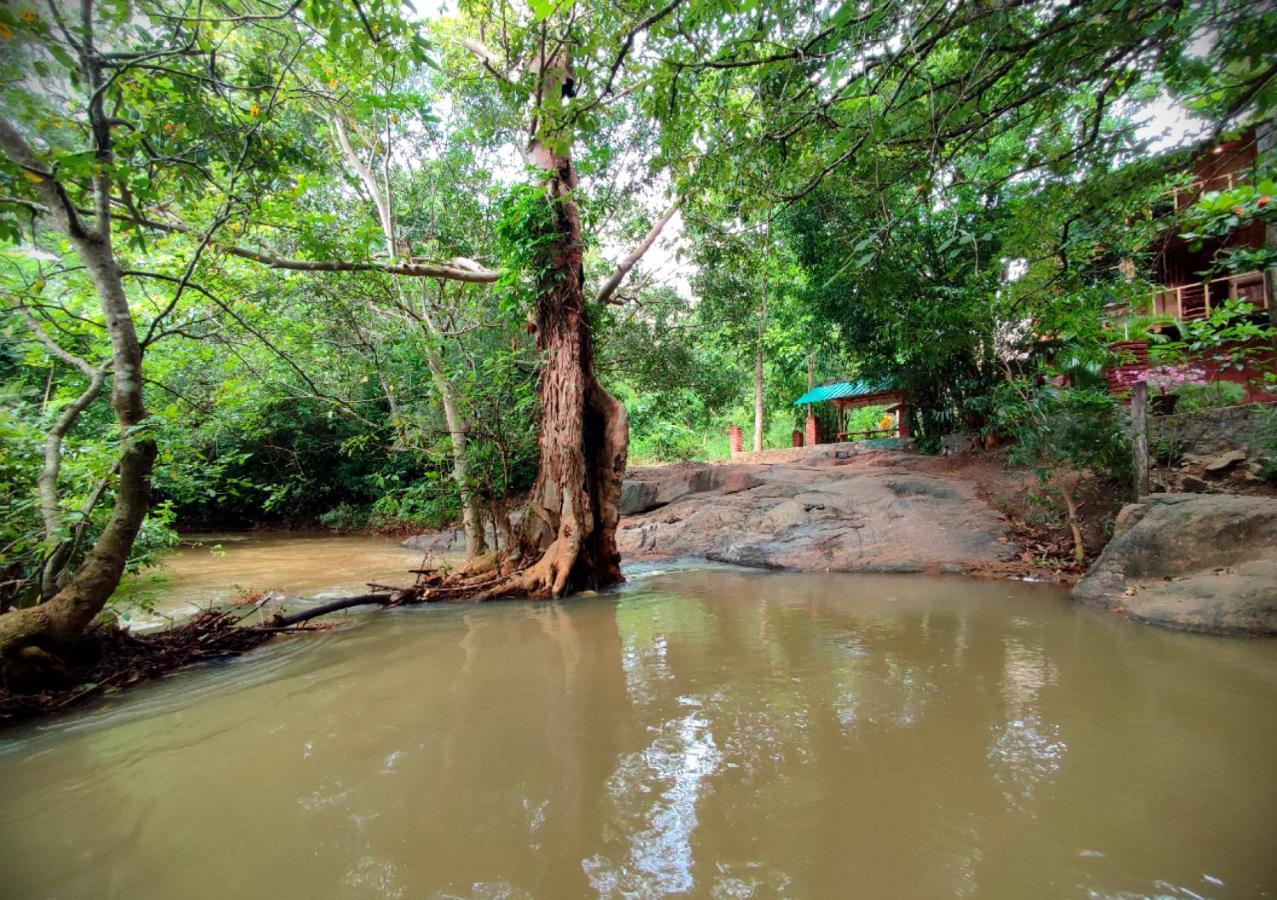 Sigiriya River Side Villa Ngoại thất bức ảnh