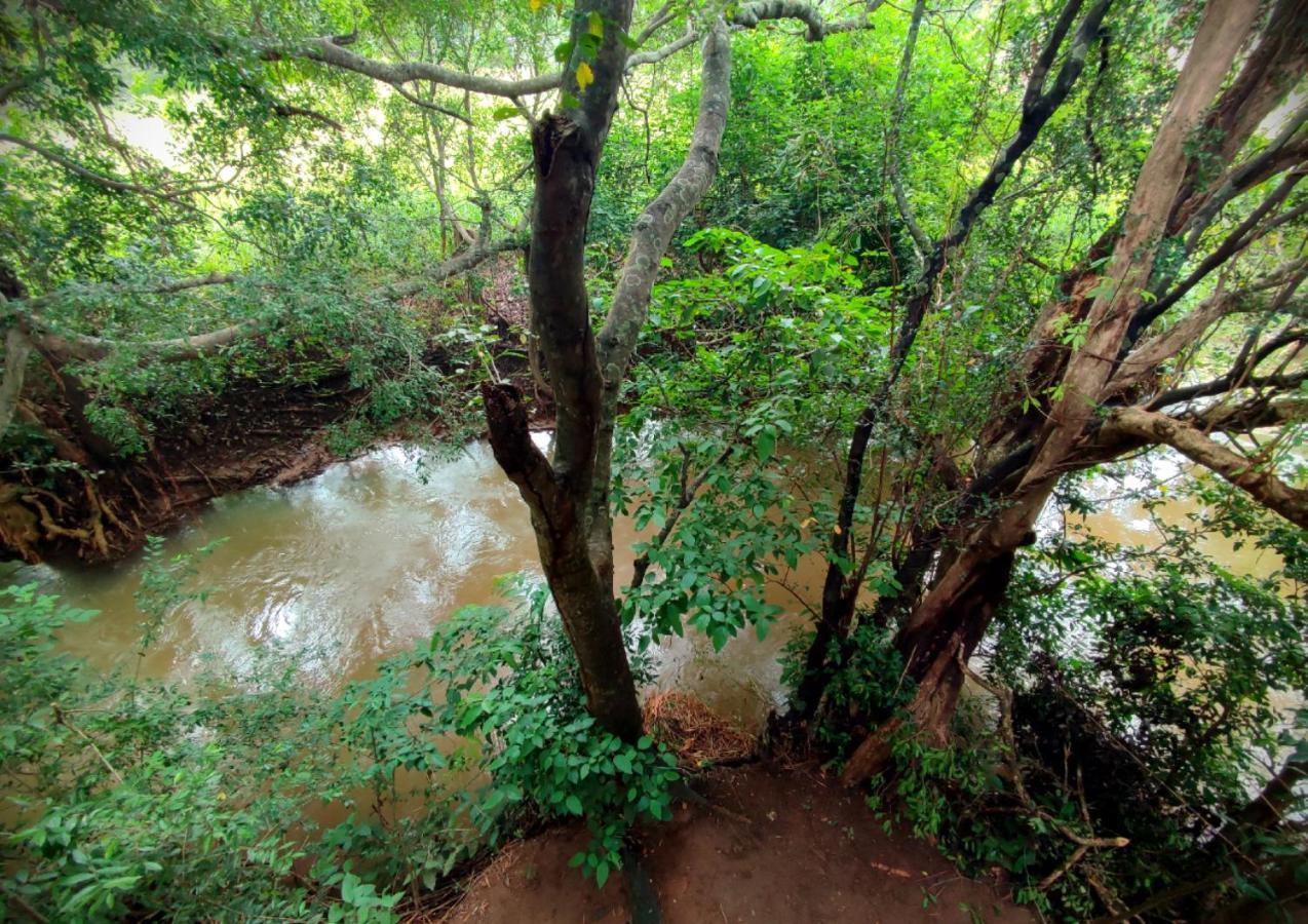 Sigiriya River Side Villa Ngoại thất bức ảnh