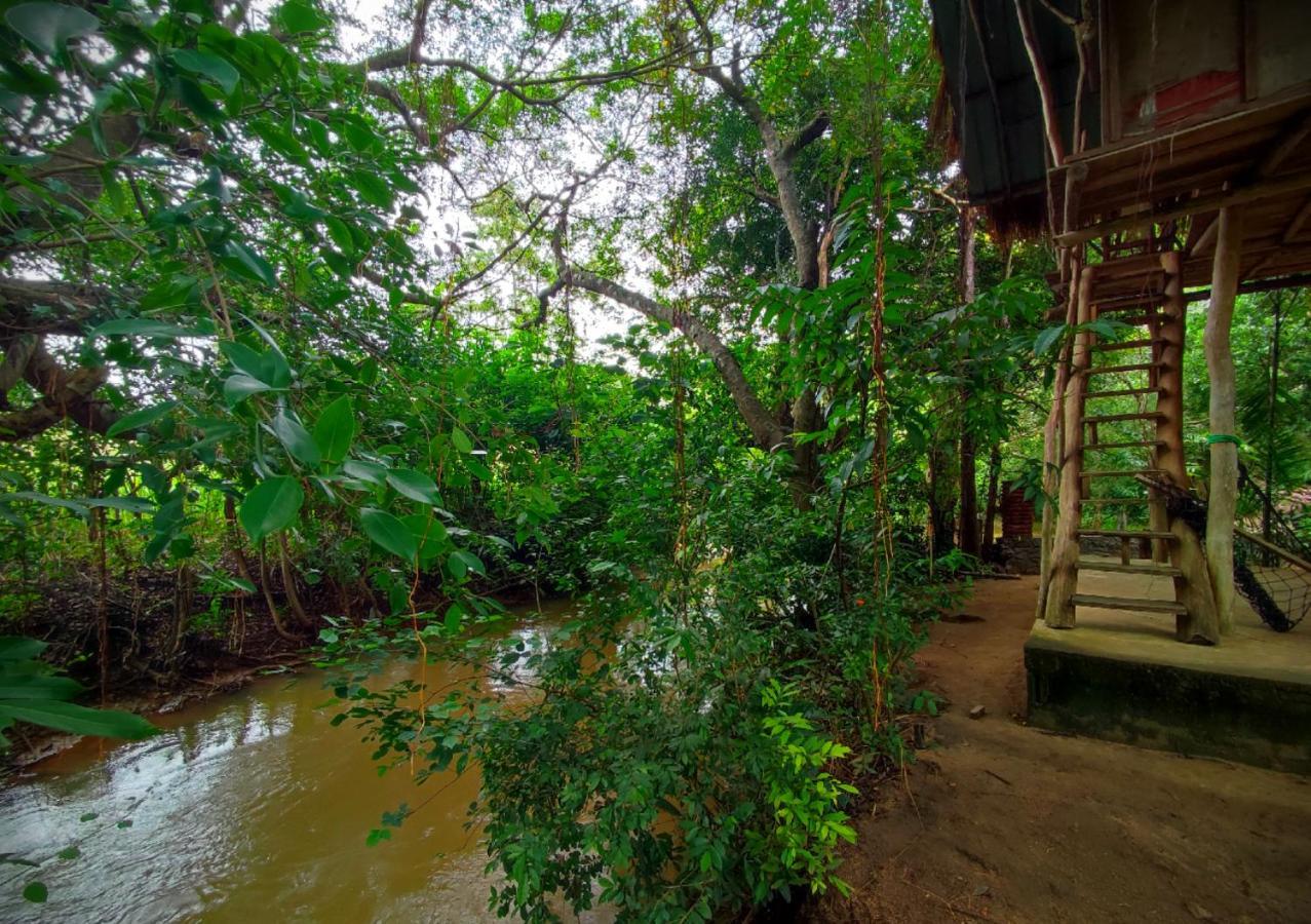 Sigiriya River Side Villa Ngoại thất bức ảnh