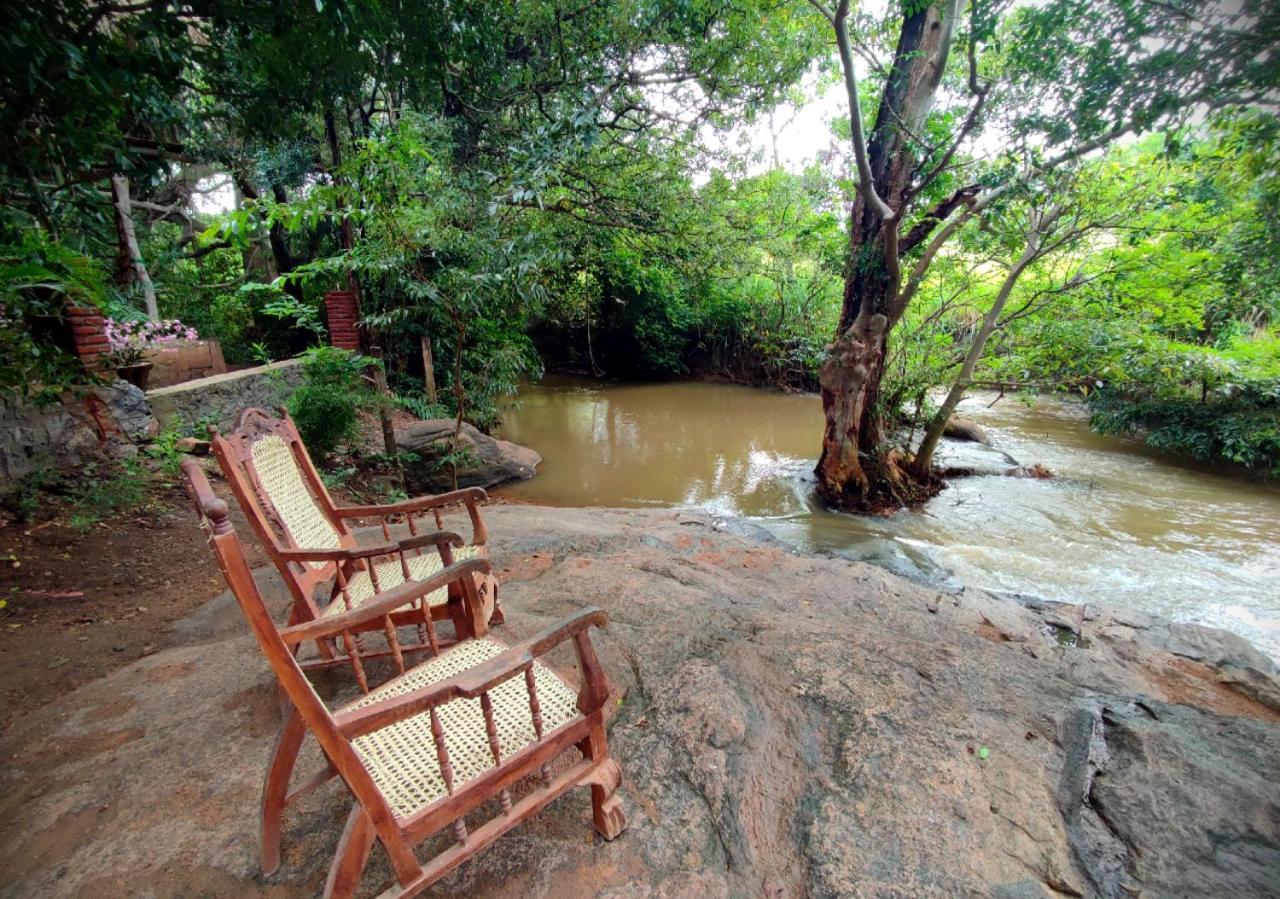 Sigiriya River Side Villa Ngoại thất bức ảnh