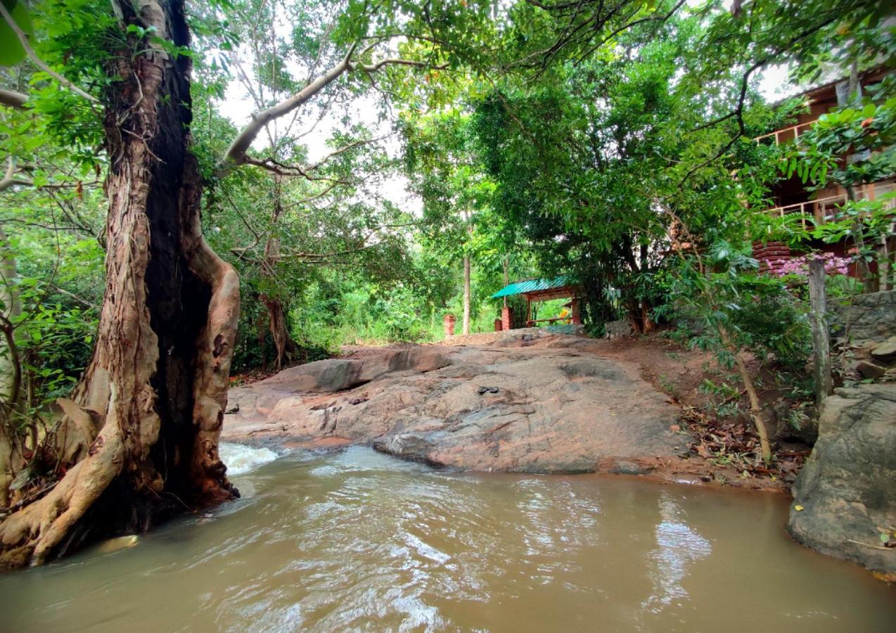 Sigiriya River Side Villa Ngoại thất bức ảnh
