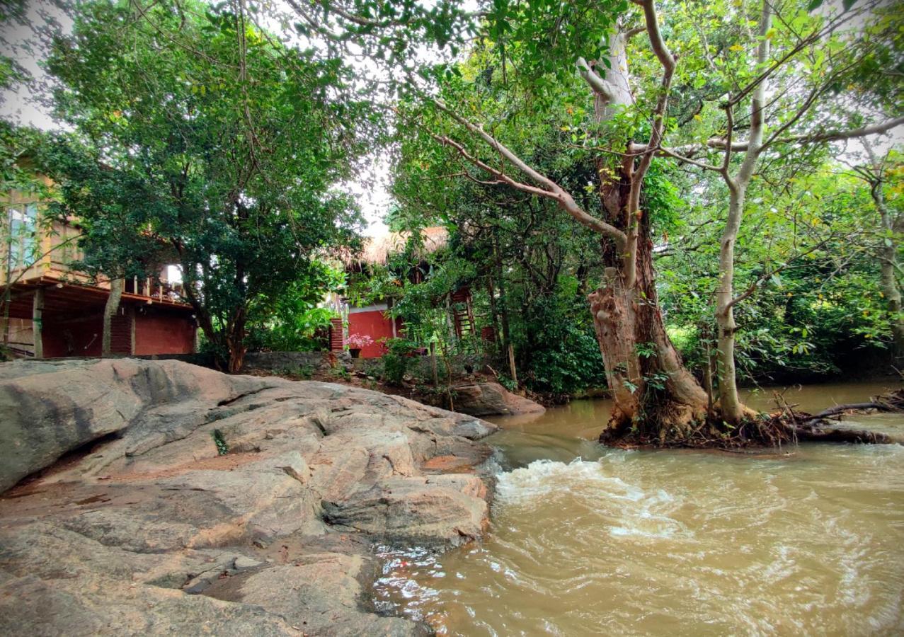 Sigiriya River Side Villa Ngoại thất bức ảnh