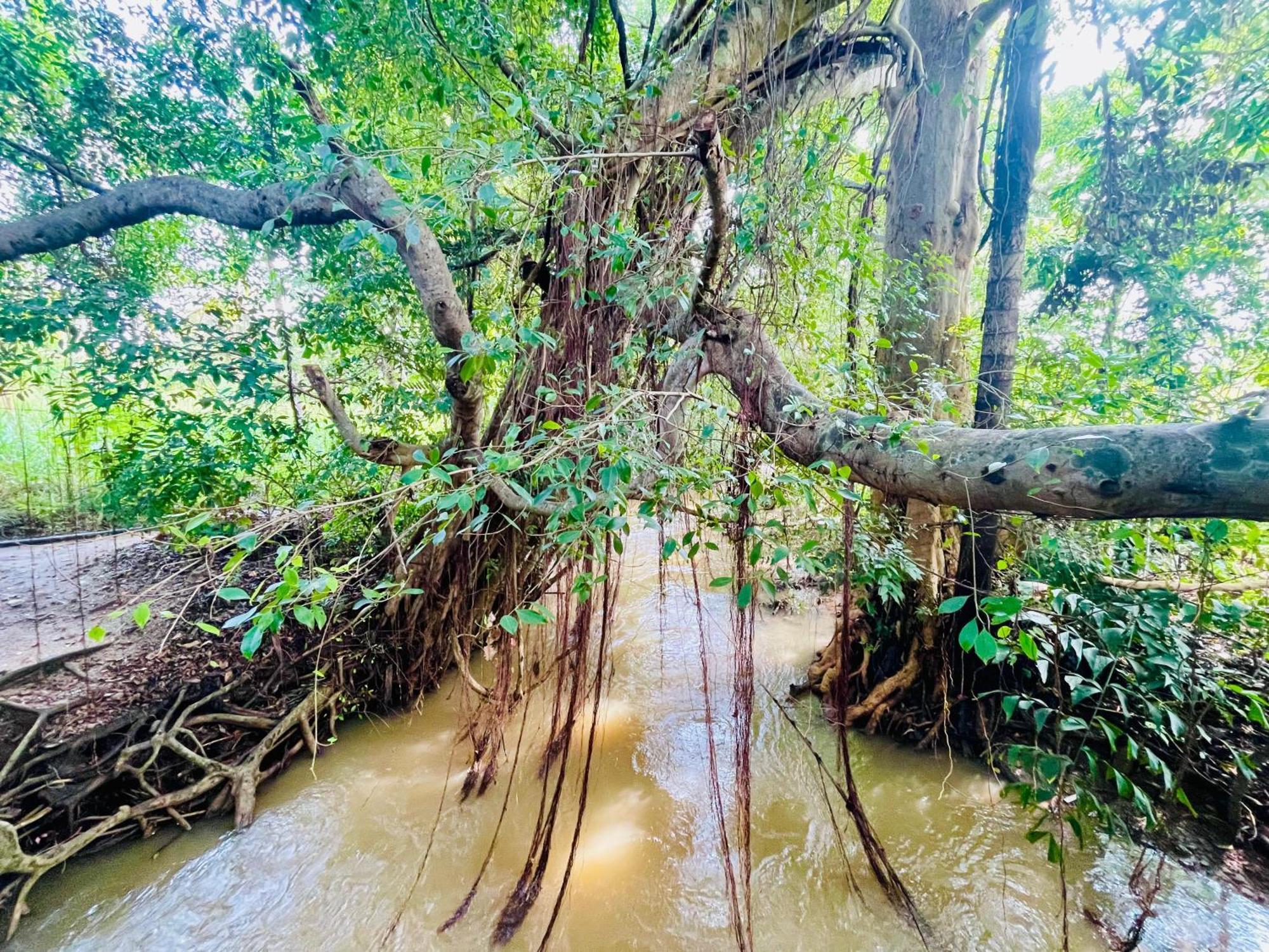 Sigiriya River Side Villa Ngoại thất bức ảnh
