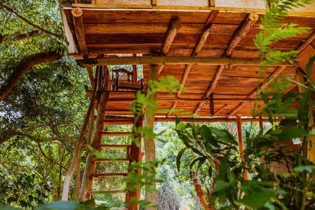 Sigiriya River Side Villa Ngoại thất bức ảnh