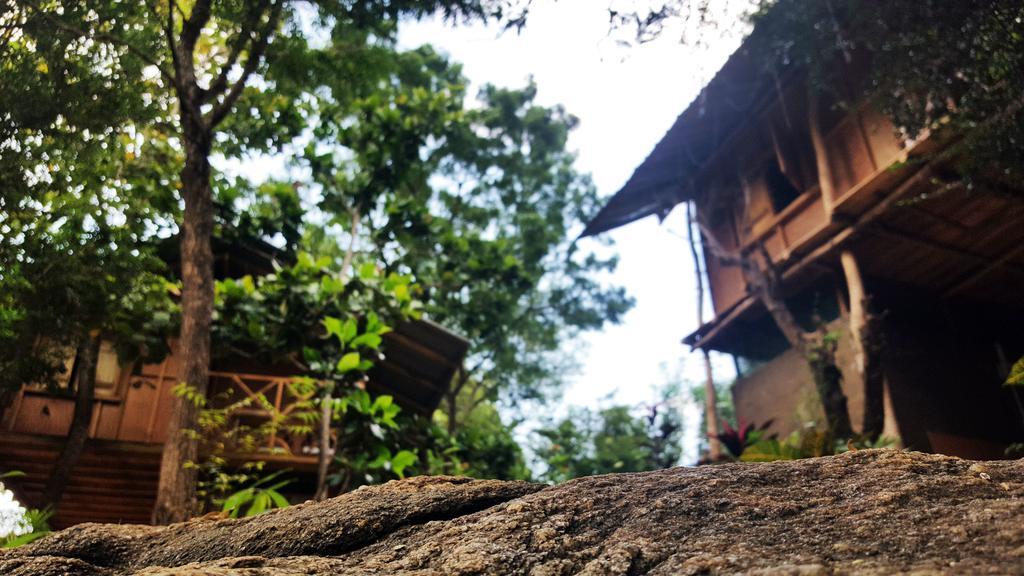Sigiriya River Side Villa Ngoại thất bức ảnh