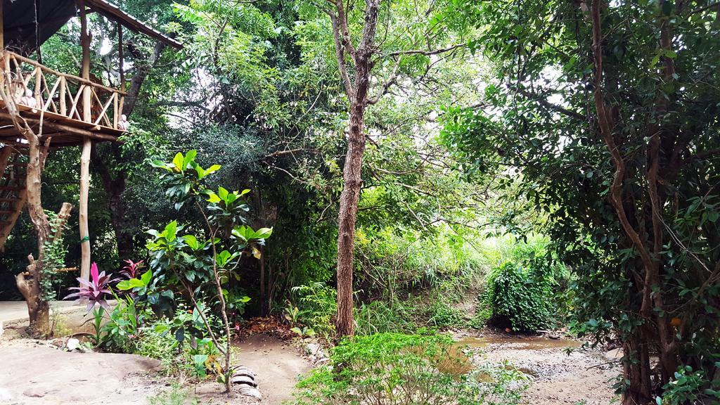 Sigiriya River Side Villa Ngoại thất bức ảnh
