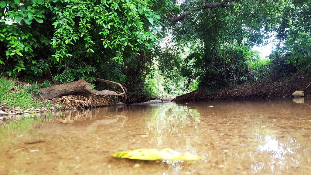 Sigiriya River Side Villa Ngoại thất bức ảnh
